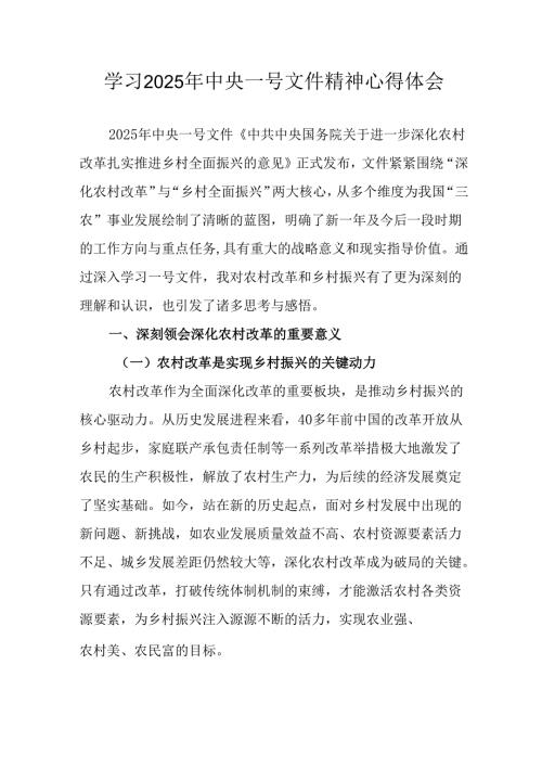 学习2025年中央一号文件精神心得体会 汇编4份.docx