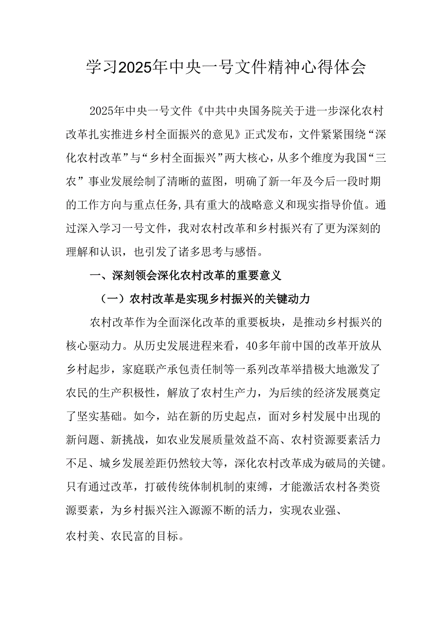 学习2025年中央一号文件精神心得体会 汇编4份.docx_第1页