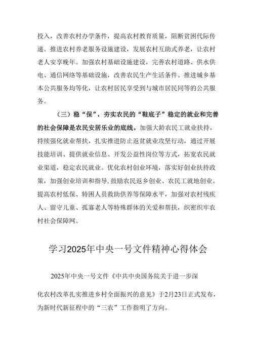 学习2025年中央一号文件精神个人心得体会 汇编5份.docx