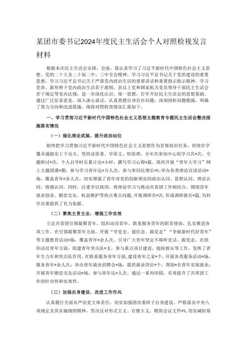 某团市委书记2024民主生活会个人对照检视发言材料.docx