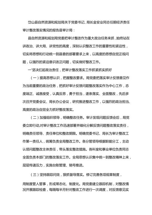 岱山县自然资源和规划局关于党委书记、局长金安业同志任期经济责任审计整改落实情况的报告.docx