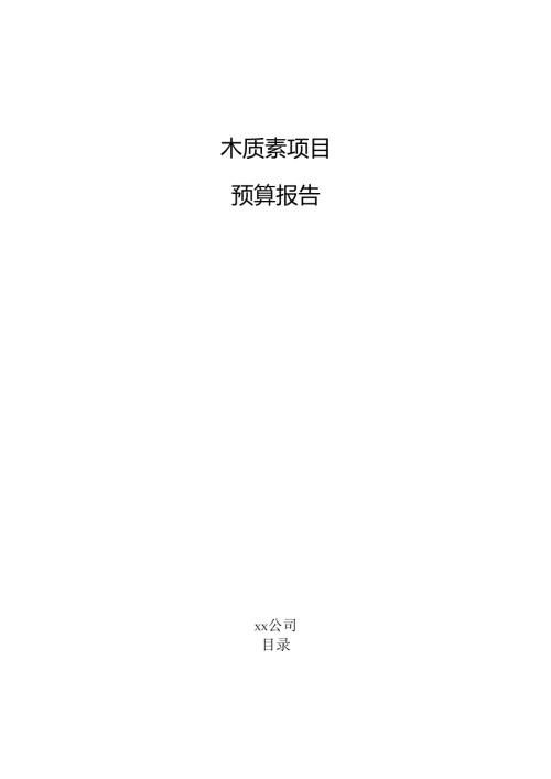木质素项目预算报告（仅供参考）.docx