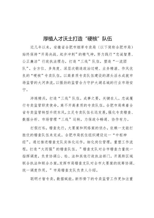 厚植人才沃土 打造“硬核”队伍.docx