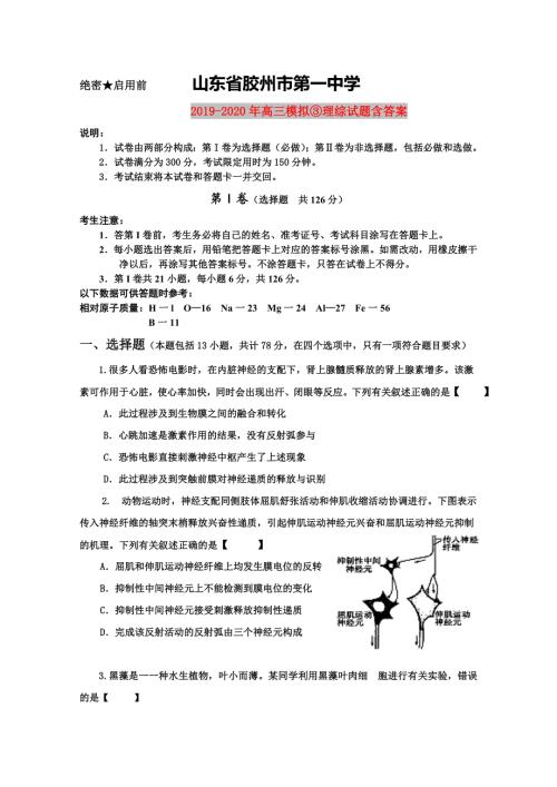 2019-2020年高三模拟理综试题含答案.doc