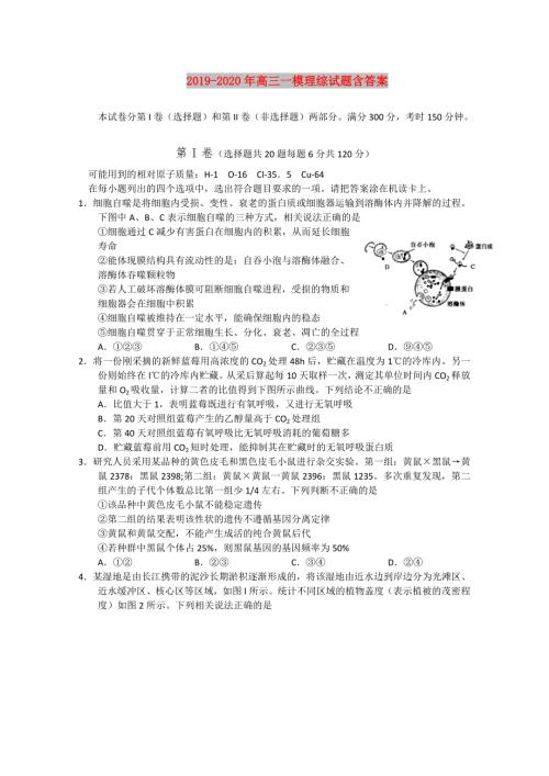 2019-2020年高三一模理综试题含答案.doc