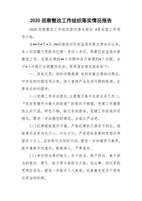 2020巡察整改工作组织落实情况报告.doc