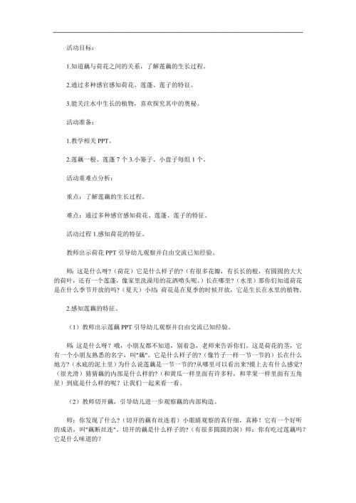 大班科学《莲蓬与藕》PPT课件教案参考教案.docx