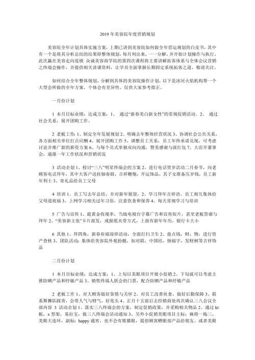 2019年美容院年度营销规划.doc