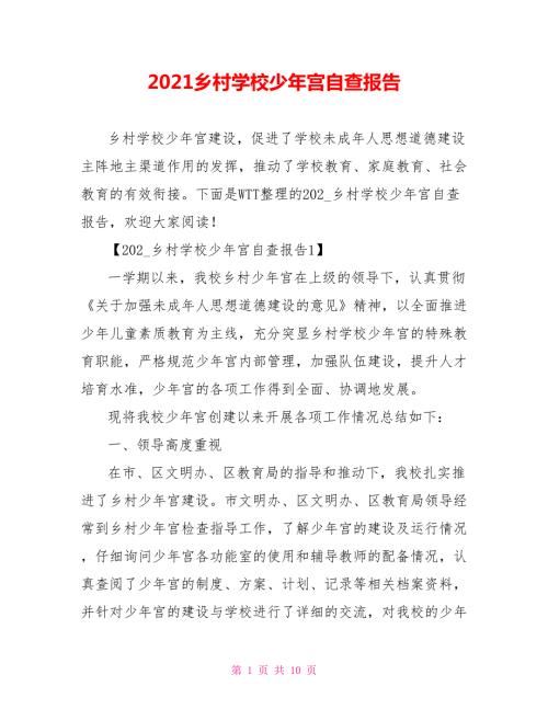 2021乡村学校少年宫自查报告.doc