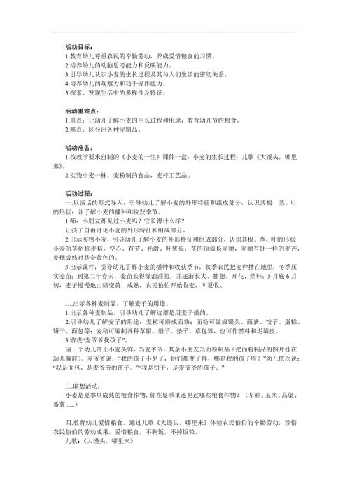 中班社会《小麦的一生》PPT课件教案参考教案.docx
