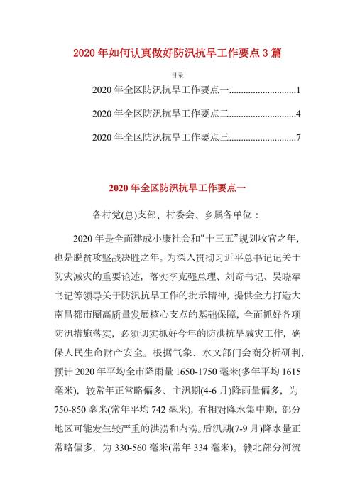 2020年如何认真做好防汛抗旱工作要点3篇.docx