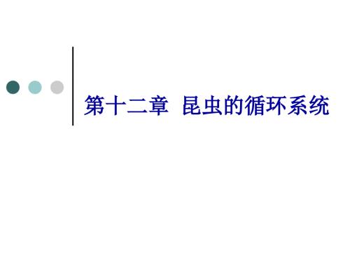-昆虫的循环系统.ppt