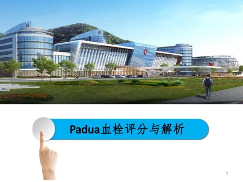 0404Padua血栓评分PPT演示课件.ppt