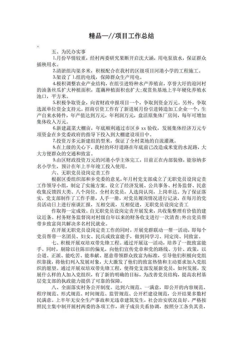 2021年书记项目工作总结.doc_第1页