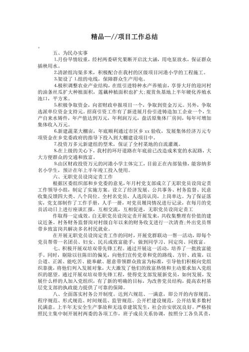 2021年书记项目工作总结.doc
