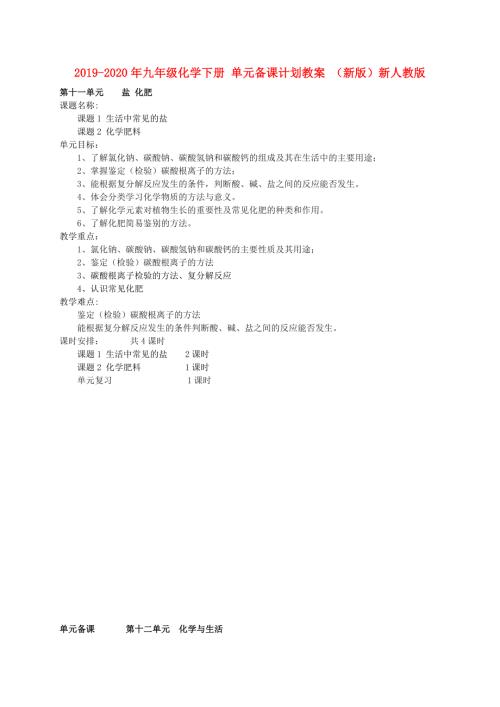 2019-2020年九年级化学下册单元备课计划教案新版新人教版.doc