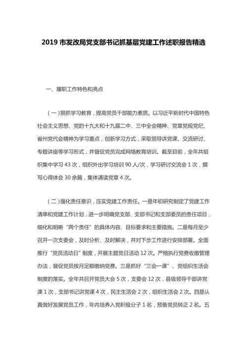 2019市发改局党支部书记抓基层党建工作述职报告精选.docx