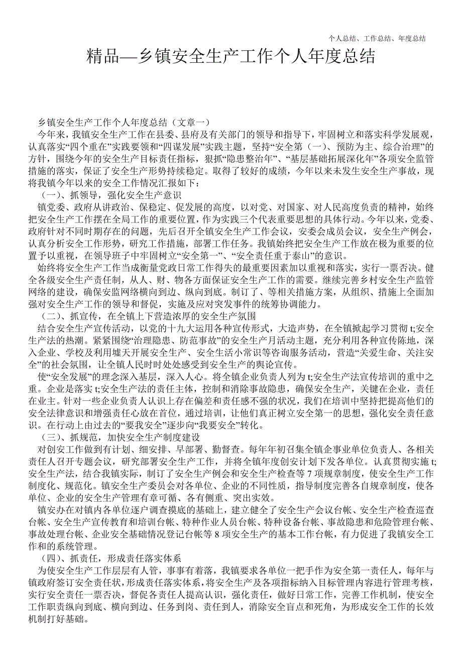 2021年乡镇安全生产工作个人年终最新总结.doc_第1页