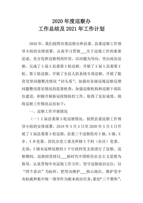2020年度巡察办工作总结及2021年工作计划.doc