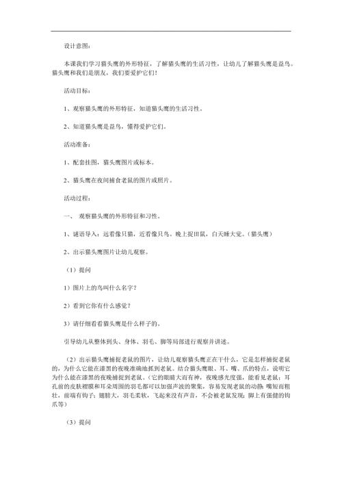 中班科学《捕鼠能手猫头鹰》PPT课件教案参考教案.docx