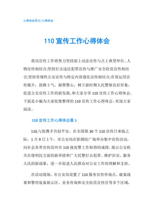 110宣传工作心得体会.doc