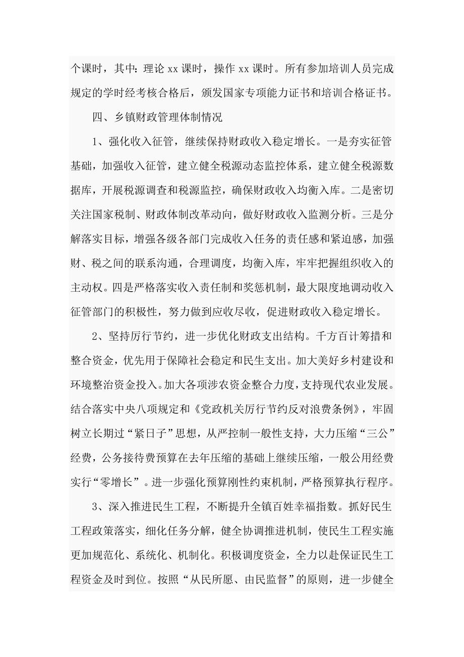 2020年某乡镇政府服务能力情况报告五页.doc_第2页