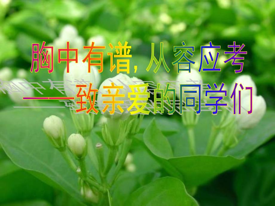 2019中考数学考前指导ppt.ppt_第1页