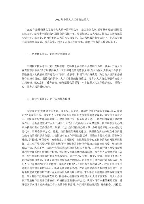 2020年乡镇人大工作总结范文.docx