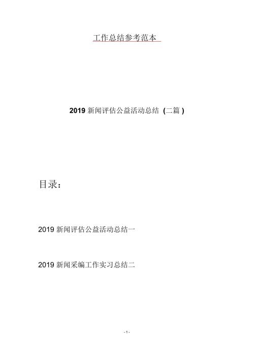 2019新闻评估公益活动总结二篇.docx
