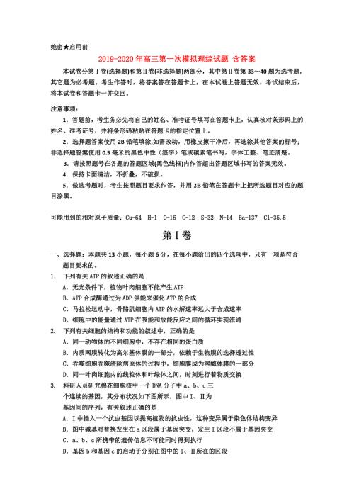 2019-2020年高三第一次模拟理综试题含答案.doc