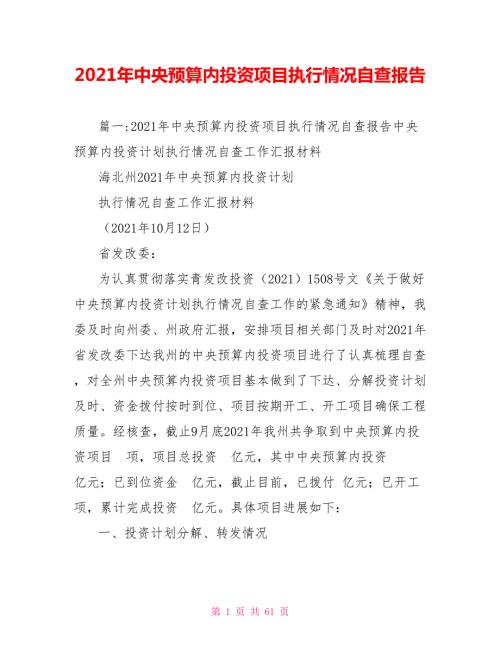 2021年中央预算内投资项目执行情况自查报告.doc