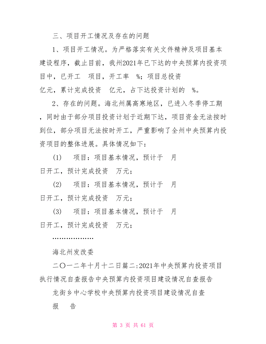 2021年中央预算内投资项目执行情况自查报告.doc_第3页