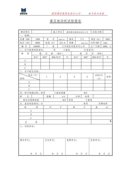 0011高压电机试验报告.doc