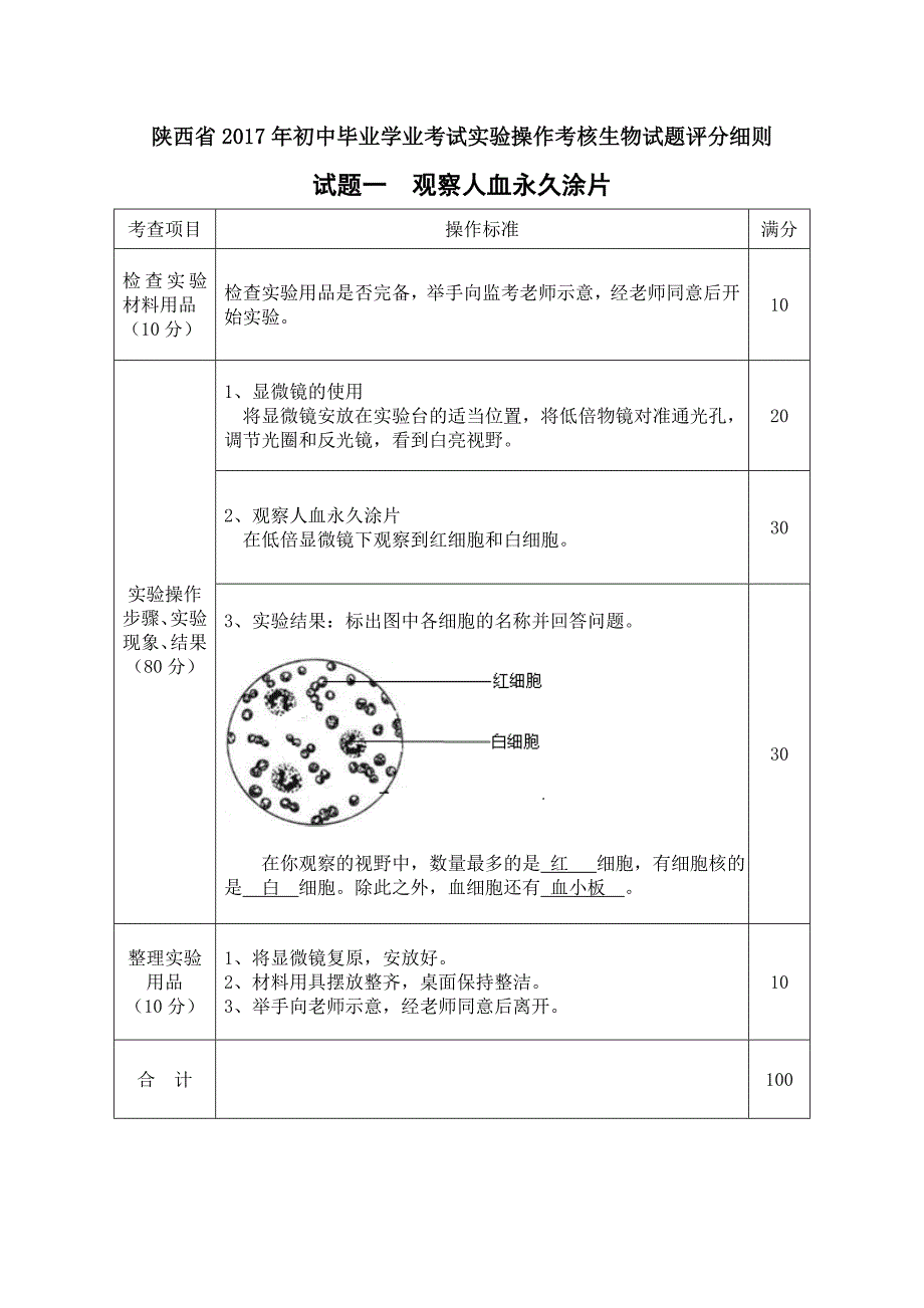 2017生物评分细则.doc_第1页