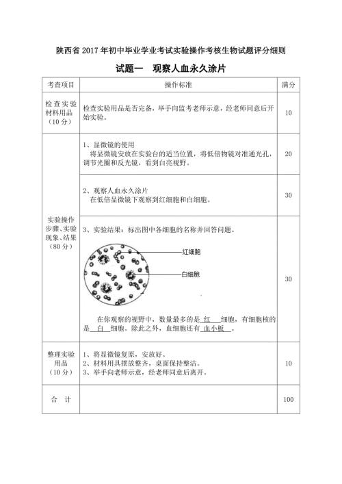 2017生物评分细则.doc