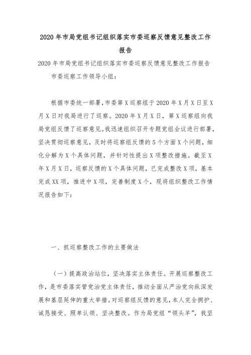 2020年市局党组书记组织落实市委巡察反馈意见整改工作报告.docx