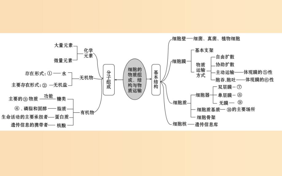 2019版高考生物二轮复习专题一细胞的物质组成结构与物质运输课件.ppt_第2页