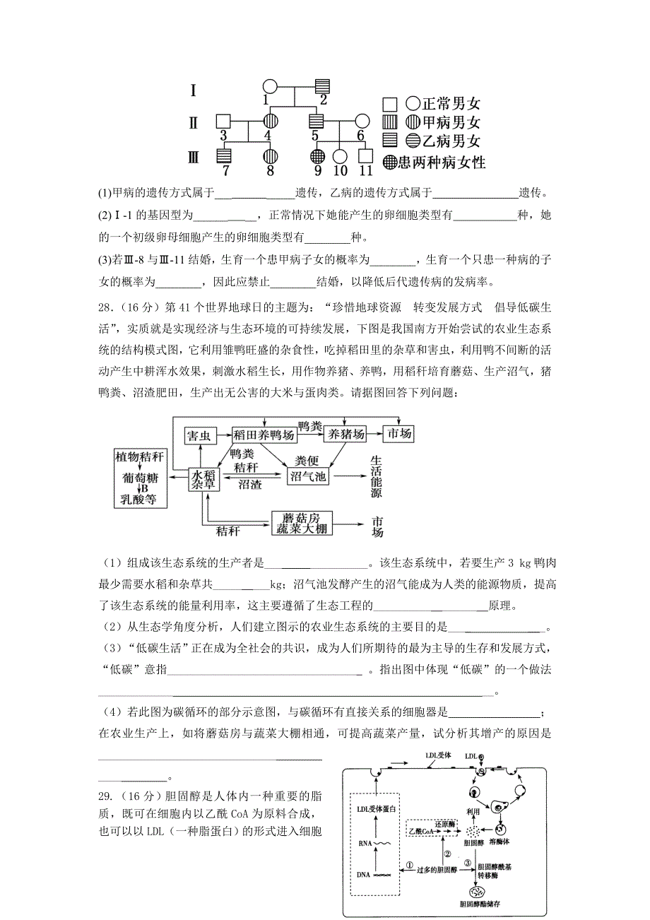 2019-2020年高三5月高考模拟生物试题含答案.doc_第3页