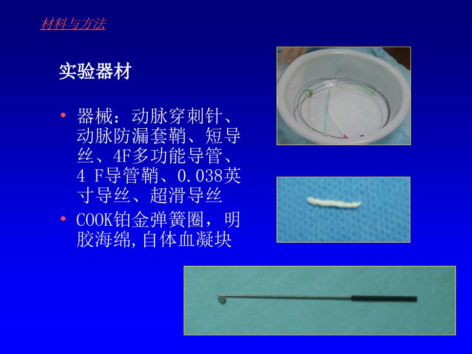 2018年脑静脉窦栓塞动物模型猪的建立.ppt_第3页
