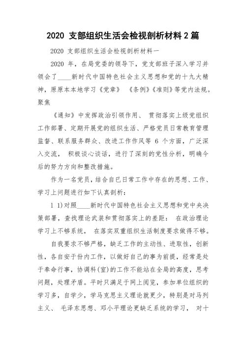 2020支部组织生活会检视剖析材料2篇.doc