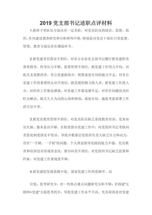 2019党支部书记述职点评材料.doc