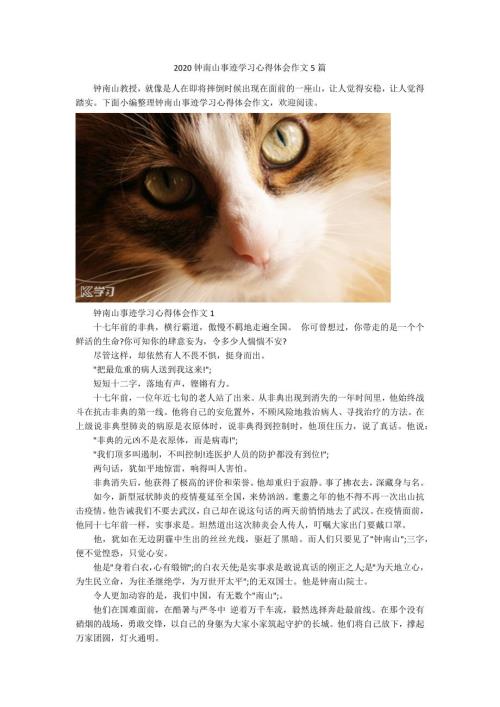 2020钟南山事迹学习心得体会作文5篇.docx