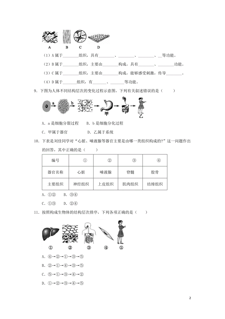 2018-2019学年七年级生物上册第二单元生物体的结构层次第二章细胞怎样构成生物体第二节动物体的结构层次作业设计新版新人教版.doc_第2页