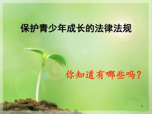 1法制课预防未成年人犯罪法课件.ppt