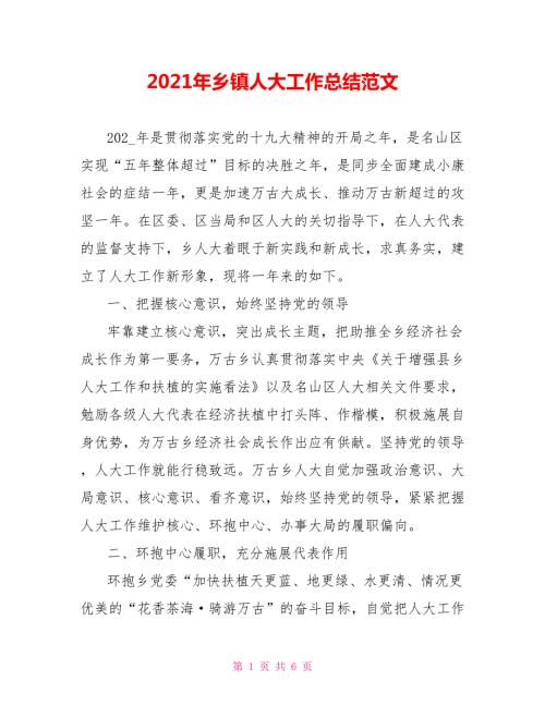 2021年乡镇人大工作总结范文.doc