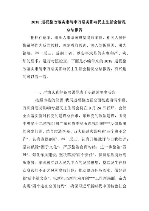 2018巡视整改落实肃清李万恶劣影响民主生活会情况总结报告.docx