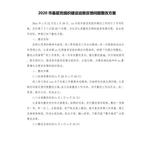 2020市基层党组织建设巡察反馈问题整改方案.docx