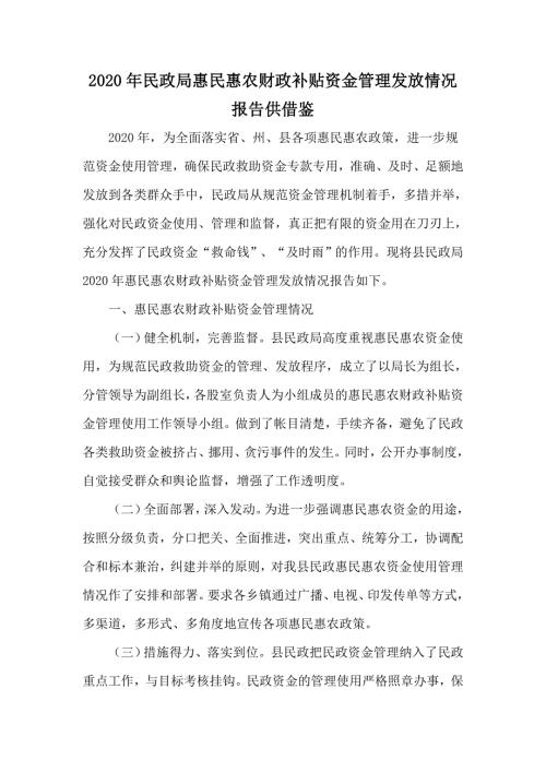 2020年民政局惠民惠农财政补贴资金管理发放情况报告供借鉴.docx