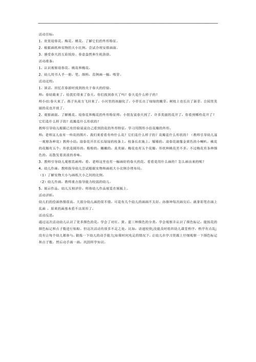 大班美术课件《天的花》PPT课件教案参考教案.docx