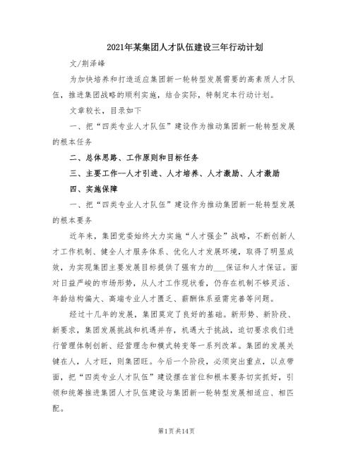 2021年某集团人才队伍建设三年行动计划.doc